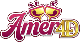 AMER4D Logo