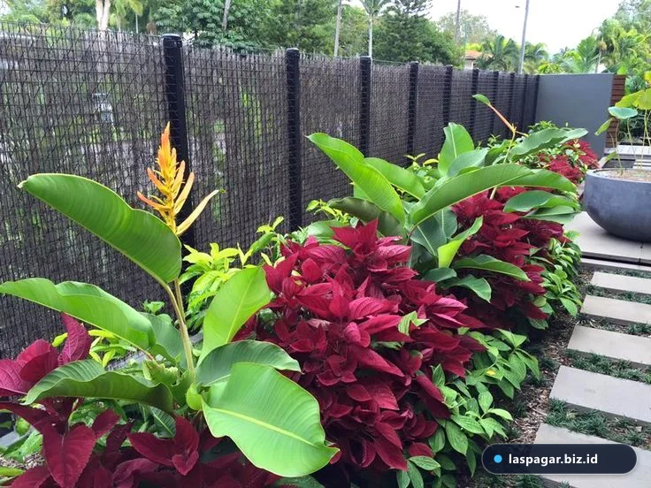 12 tanaman hias pekarangan rumah terbaik tahan panas iklim tropis Indonesia