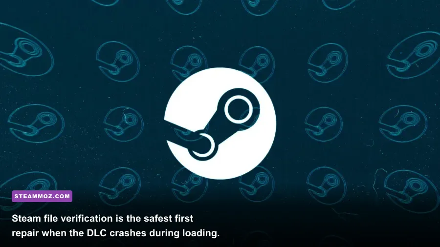 Steam verify integrity of Borderlands 3 game files option