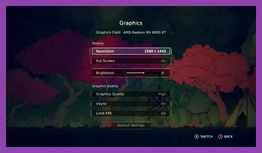 Nine Sols PC graphics configuration menu