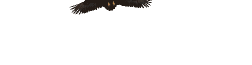 Logo CENDANATOTO