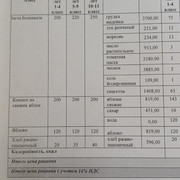 31 апта 2 күн,  31 неделя 2 день