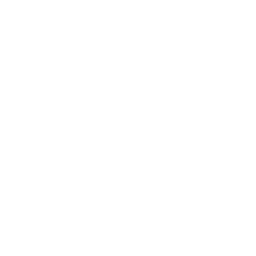 icon-whatsapp