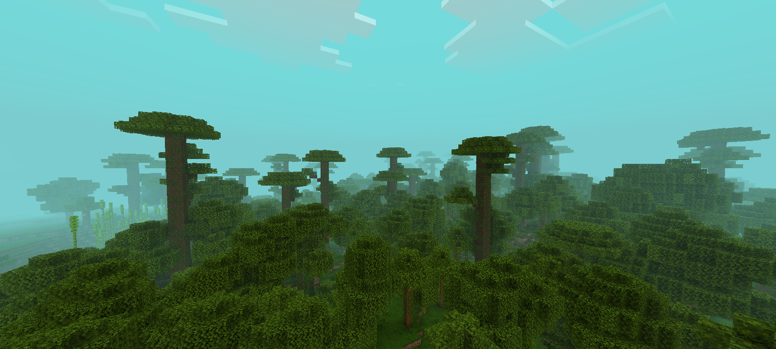 Jungle
