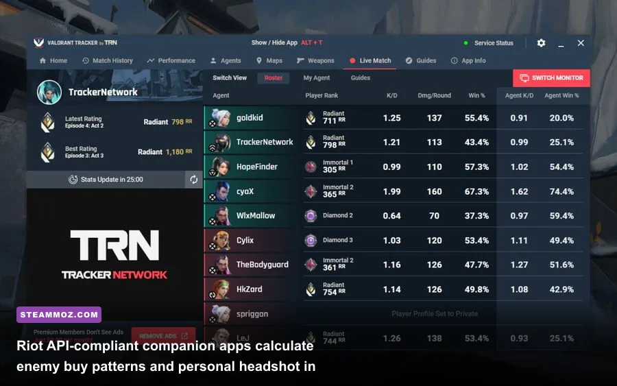 Live match statistics and economy tracking overlay for Valorant