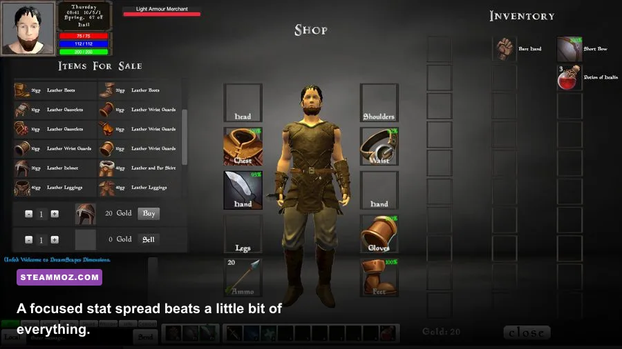 Dreamscape character equipment and stat allocation screen