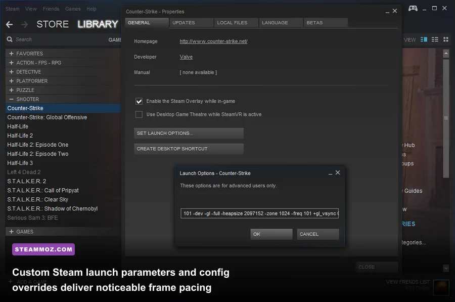 Steam game properties modal displaying advanced launch options