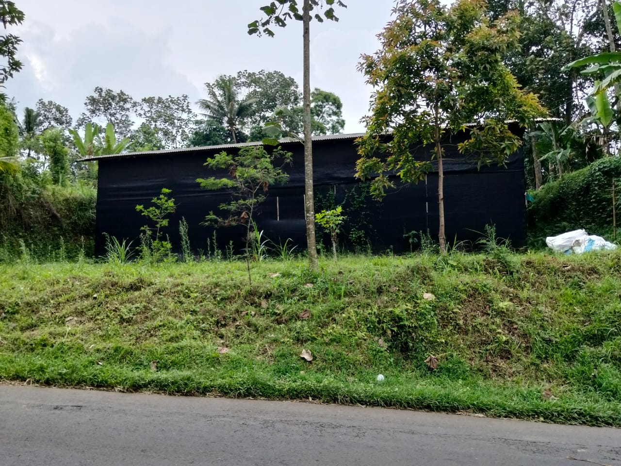 Tanah SHM 1.302 m² dengan Gudang Budidaya Jamur