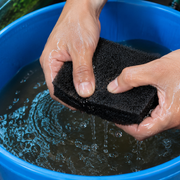 Rinsing an aquarium filter sponge gently in a bucket of old tank water to preserve beneficial bacteria