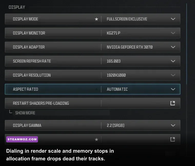 Warzone PC in-game graphics settings menu showing display and quality tabs