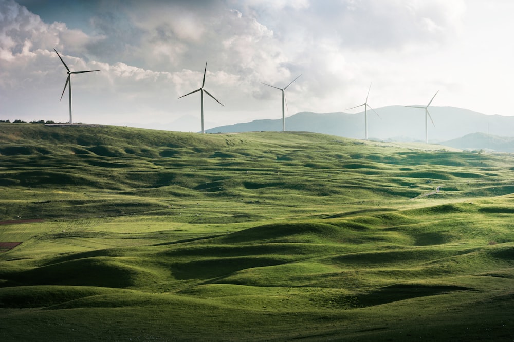 Energy Efficiency Solutions