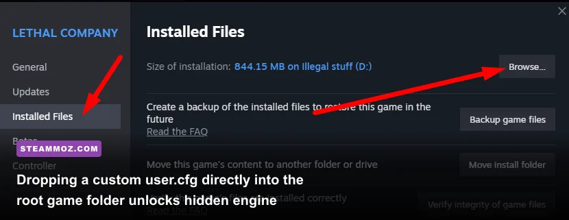 Windows File Explorer showing game root directory for config modifications