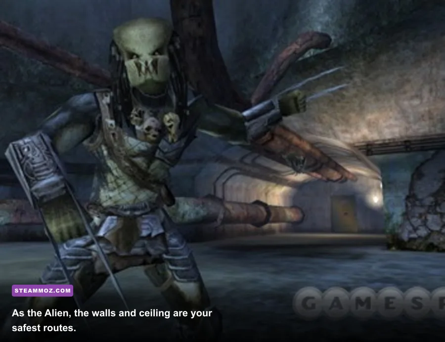 Xenomorph crawling across a wall and ceiling in Aliens vs. Predator 2010