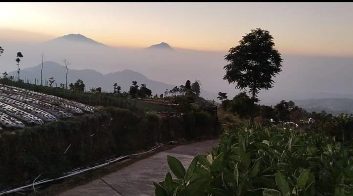 Lahan Datar Siap Bangun Kaliangkrik View Gunung