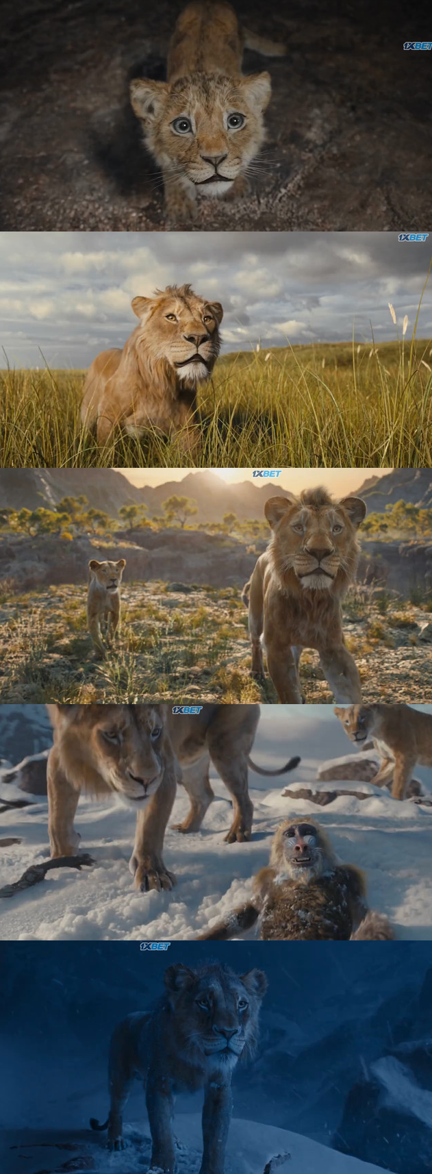 Screenshot-2025-01-01-at-21-55-12-Mufasa-The-Lion-King-2024-Hindi-Cleaned-1080p-720p-480p-HDRip-x264