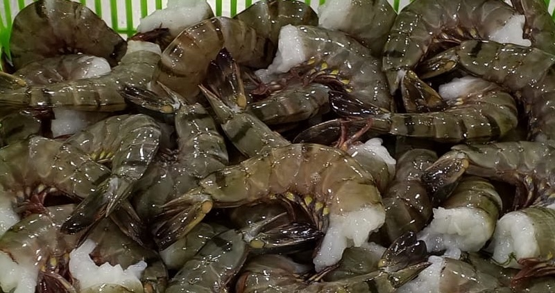Black Tiger Shrimp