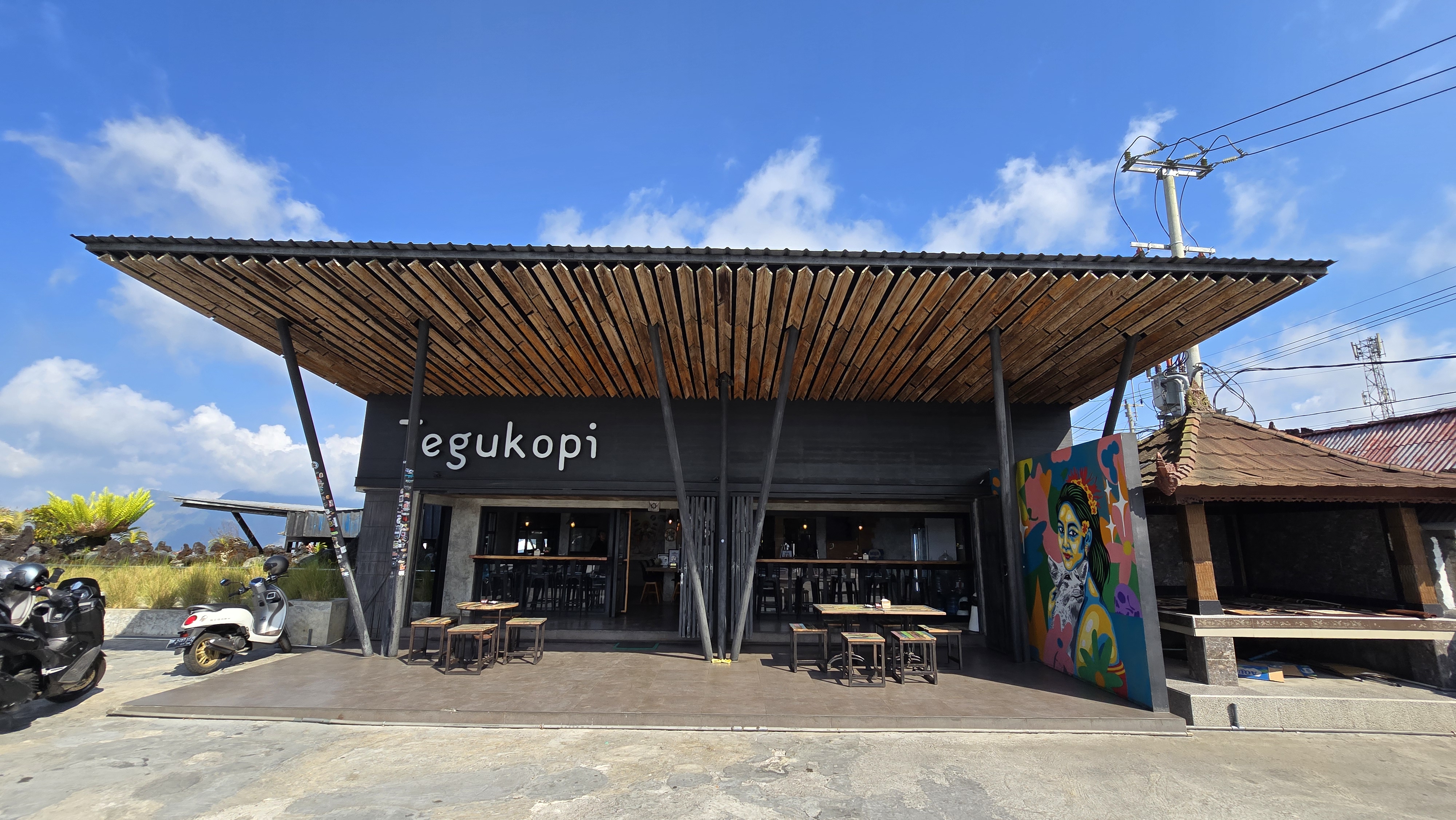 Tegukopi