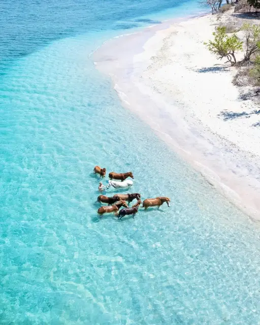 Gili Islands Tour