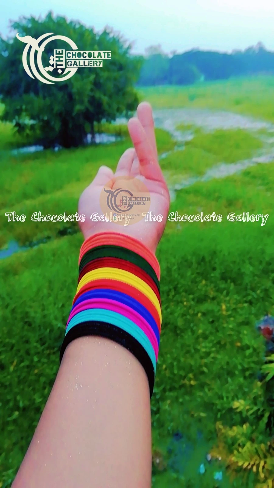 Elegant Stone Bangles for Women