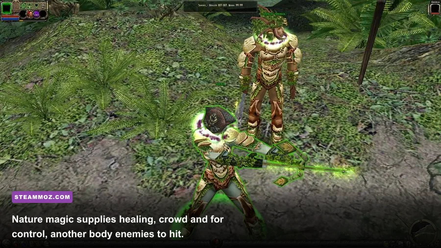 Dungeon Siege 2 nature magic caster using a summon in combat