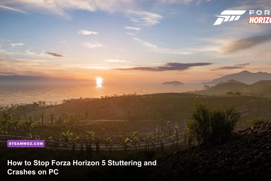 Forza Horizon 5 Steam PC gameplay on a highway in Mexico