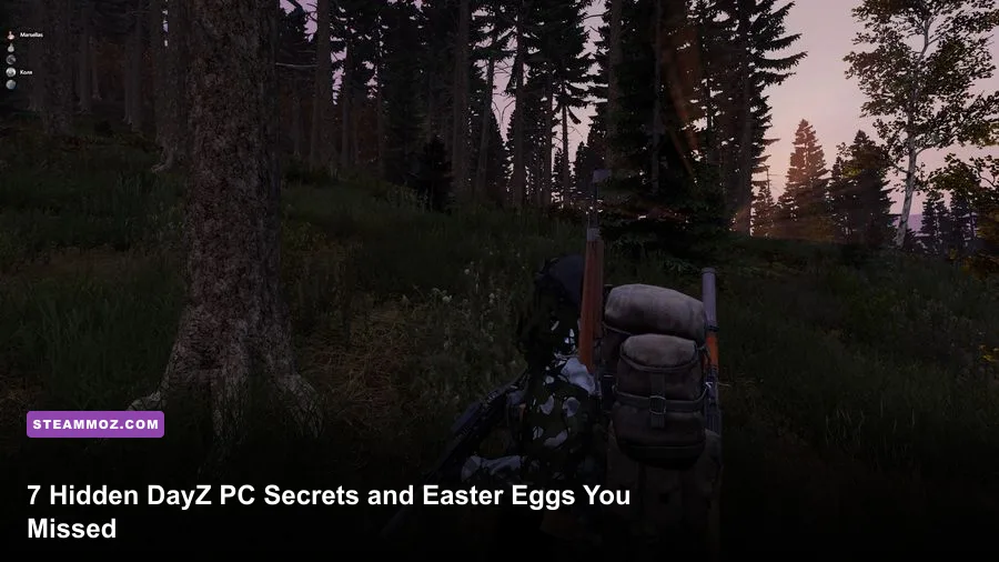 DayZ PC survivor scouting foggy landscape in Chernarus