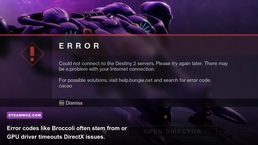 Destiny 2 error code prompt screen on Steam PC
