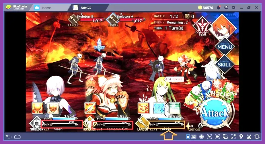 Fate Grand Order Controller Support Guide