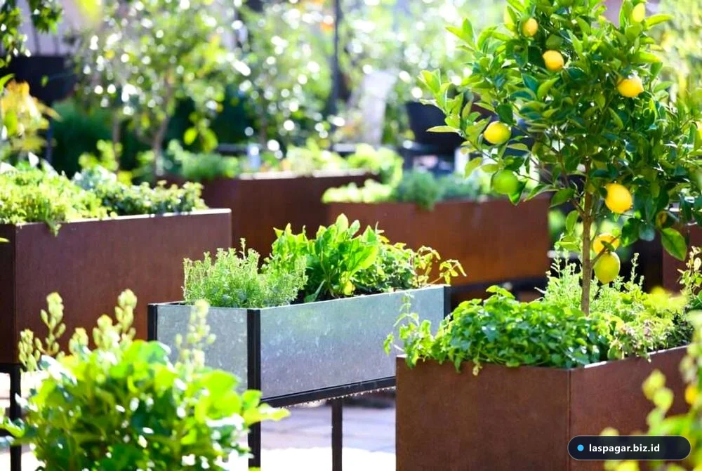 Perawatan berkala planter box besi dinding pagar rumah agar bebas korosi