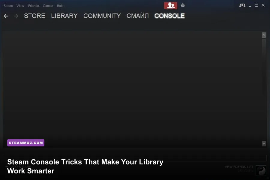 Steam Console window displaying commands inside the Steam desktop client