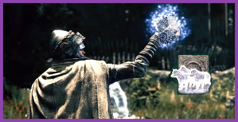 Diagram showing how Spirit Ashes, summon signs, and co‑op slots work in Shadow of the Erdtree