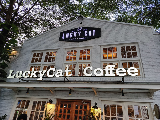 Lucky Cat Coffee & Kitchen