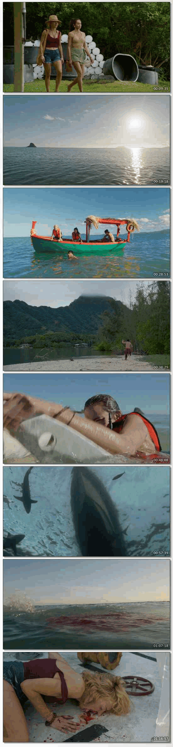 The Bay (2026) HDRip Hindi ORG Dual Audio Movie 1080p 720p 480p
