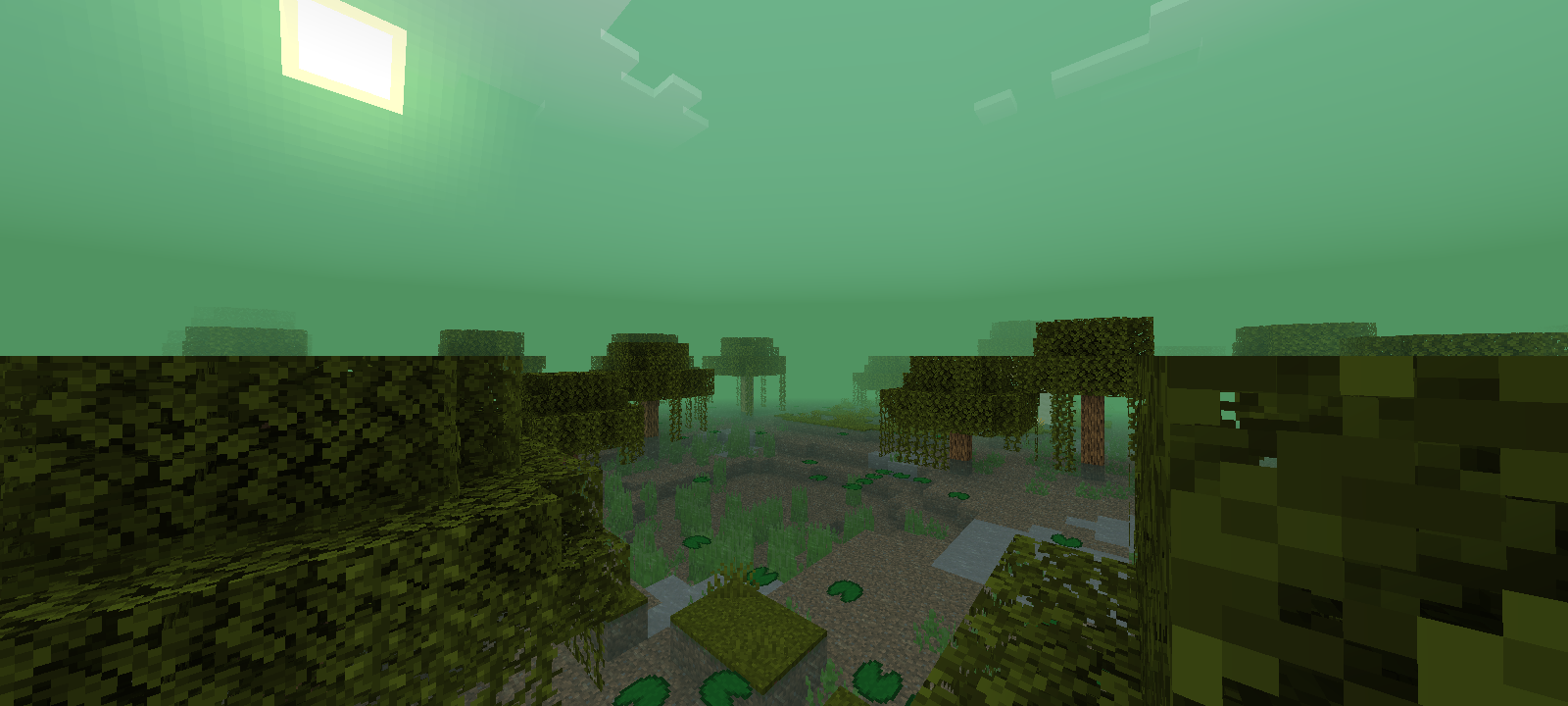 Swamp
