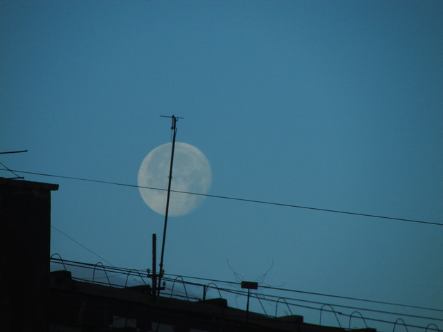 IMG-7367.jpg