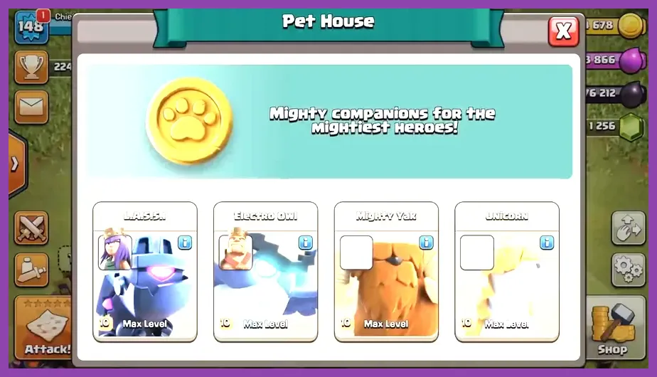 Clash of Clans animal pets max level