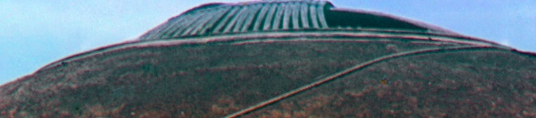 111.jpg