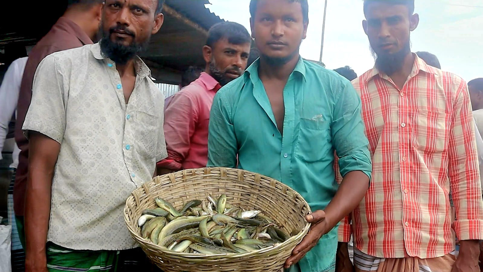 কিশোরগঞ্জের হাওরাঞ্চলে কমেছে দেশীয় মাছ, হুমকির মুখে জেলেদের জীবন-জীবিকা