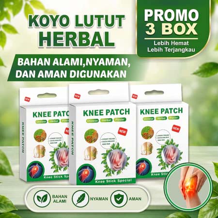 Koyo Lutut 30 pcs