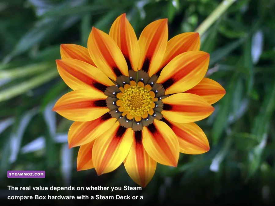 Steam Deck OLED beside a compact gaming PC for Steam Box price comparison