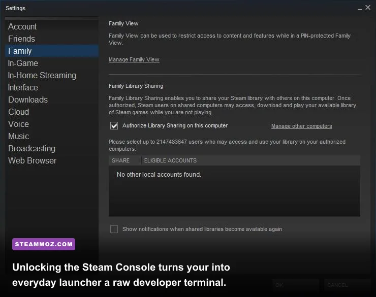 Steam developer console tab active in desktop client
