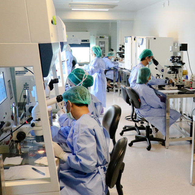Alur Bayi Tabung - Morula IVF 8 ok-STANDARD-PELAYANAN