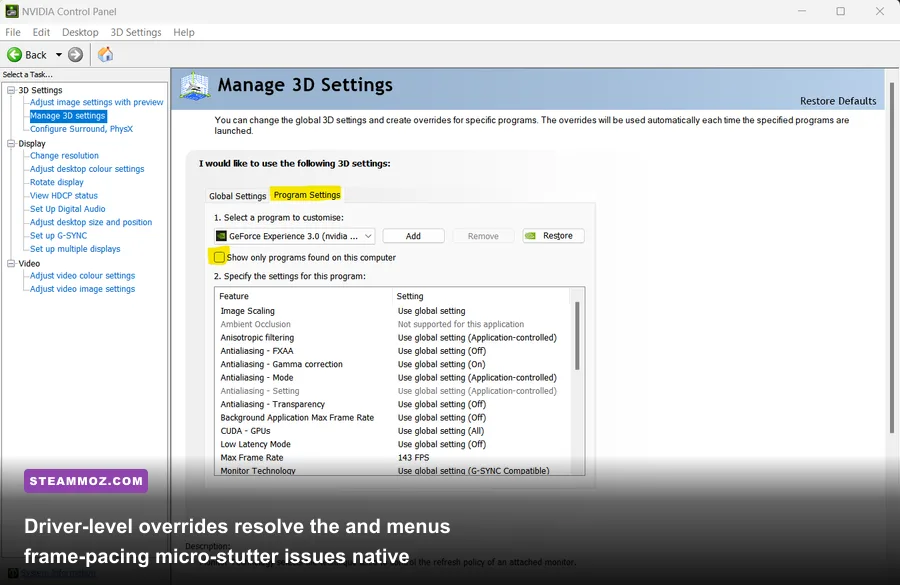 NVIDIA Control Panel program settings tuned for War Robots PC