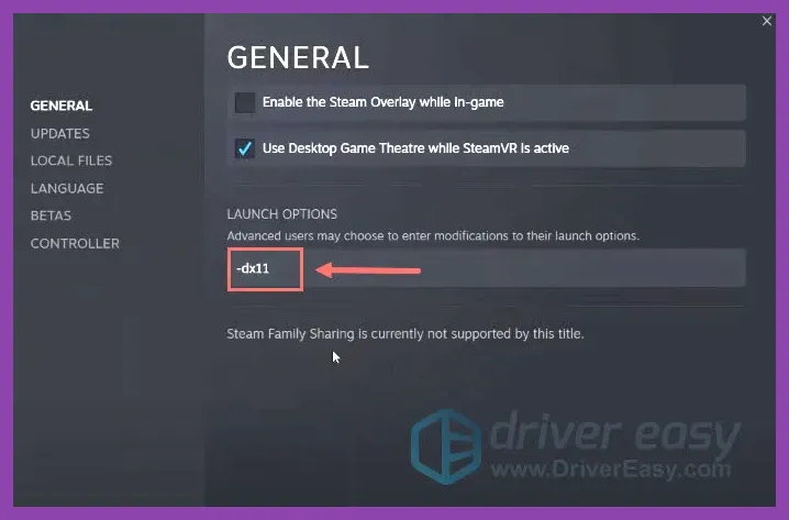 Steam properties launch options box filled with -high -dx11 -novid -nojoy -threads 6