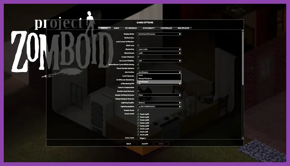 Project Zomboid graphics options menu on PC