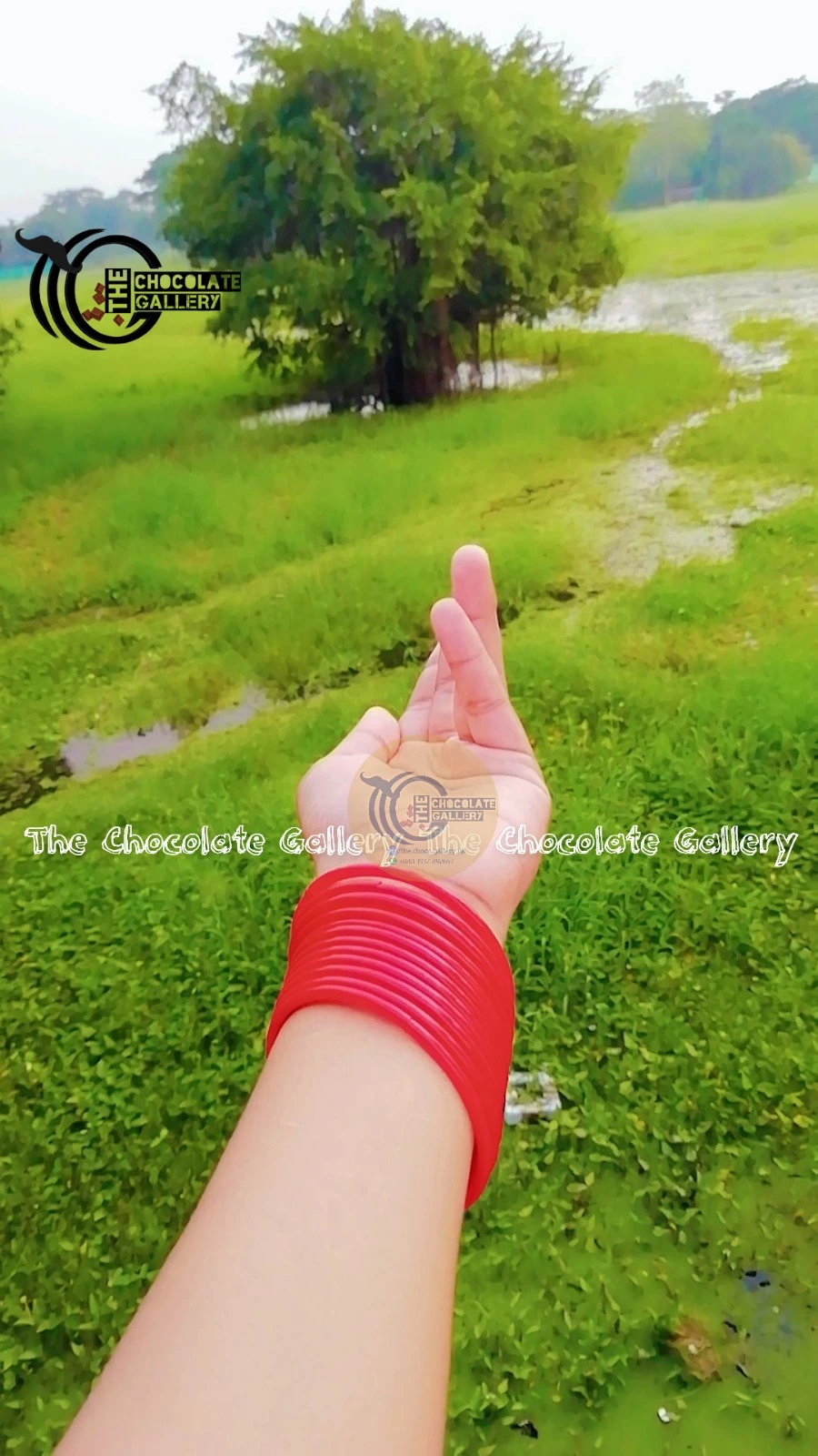 Premium Fashion Bangles for Girls