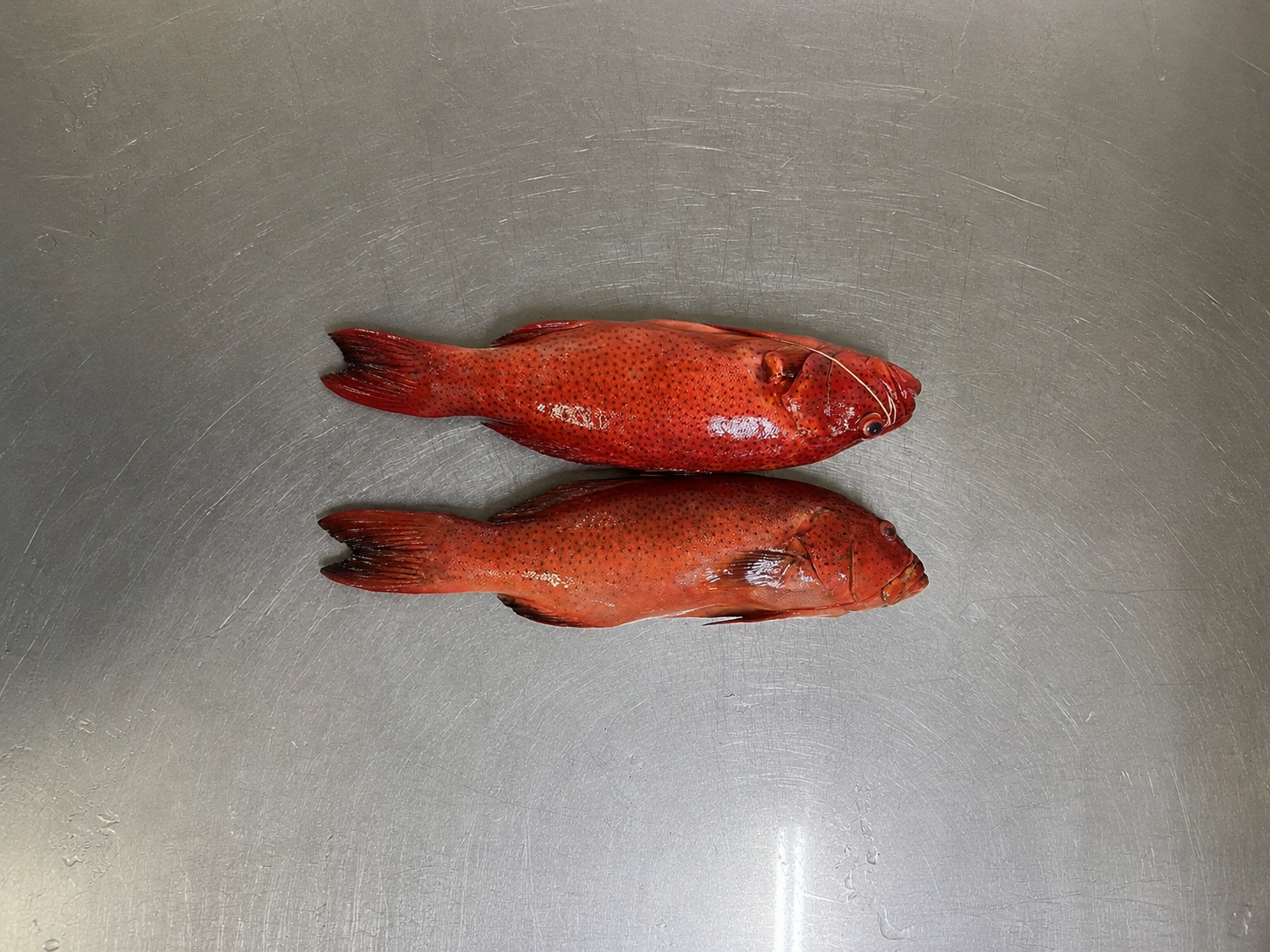 Grouper