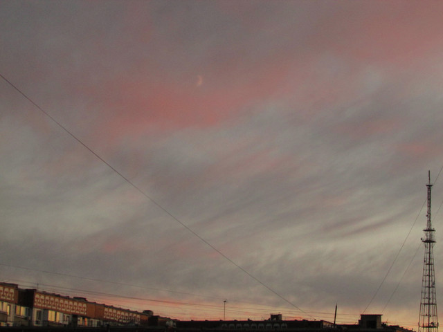 IMG-7429.jpg