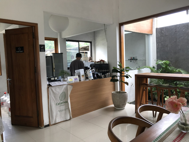 Calathea Cafe