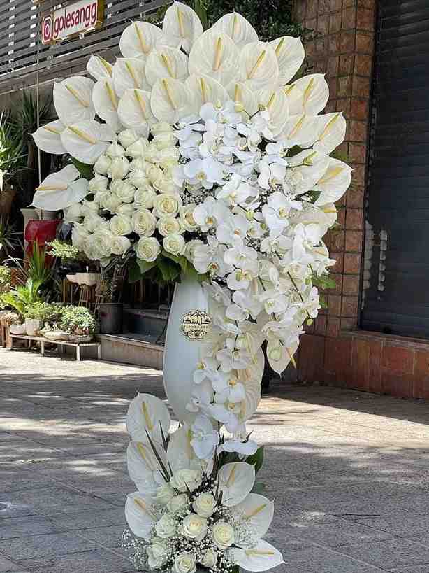 STF-01 Classic White